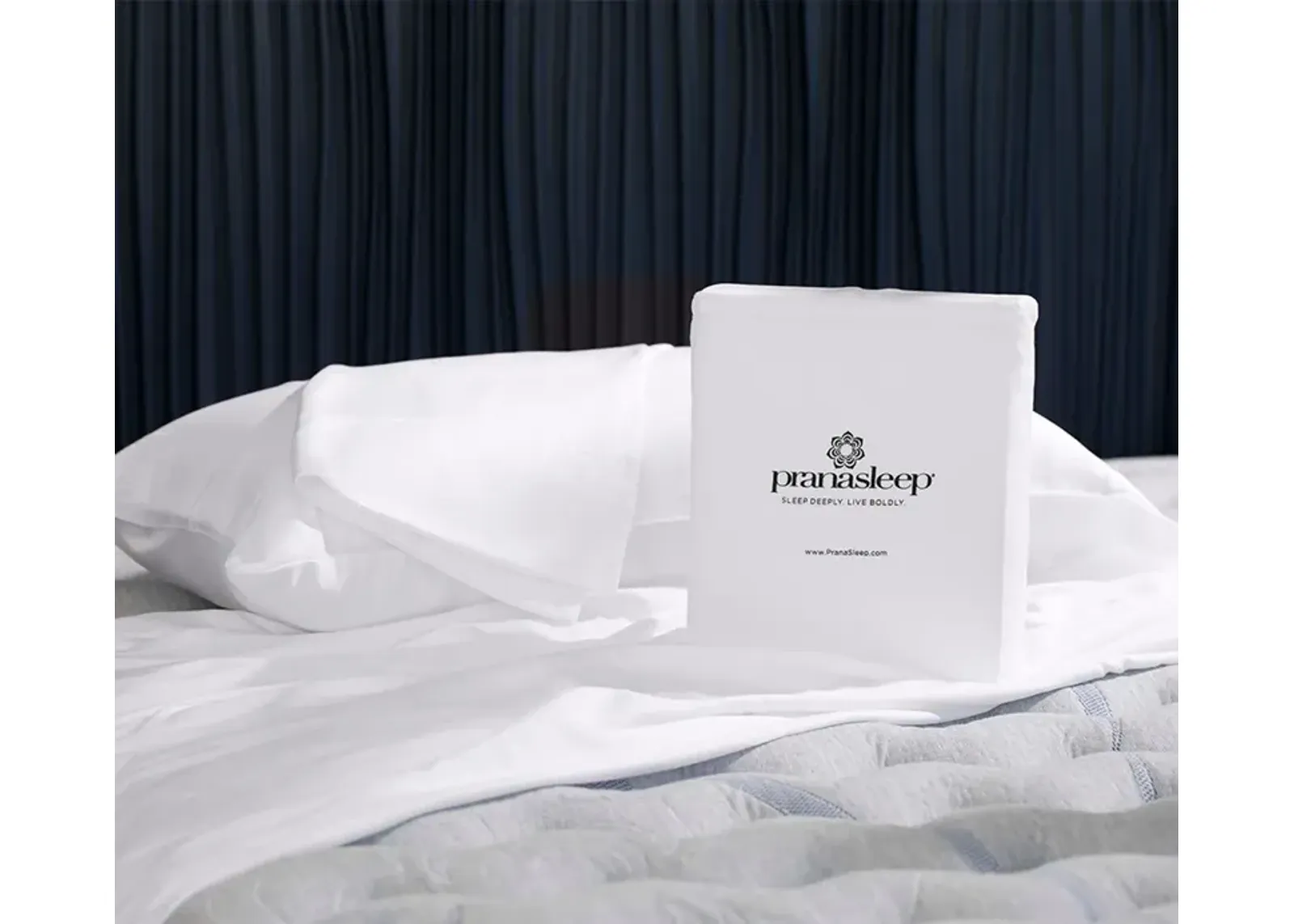 PranaSleep Maderia Lyocell White Pillowcase Set of 2 - King