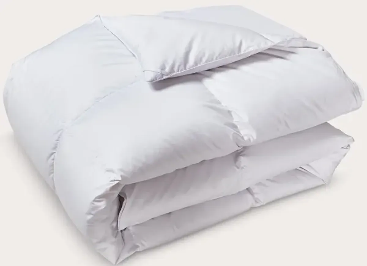 Kathy Ireland All Season Tencel Lyocell Down Alternative Comforter - Twin