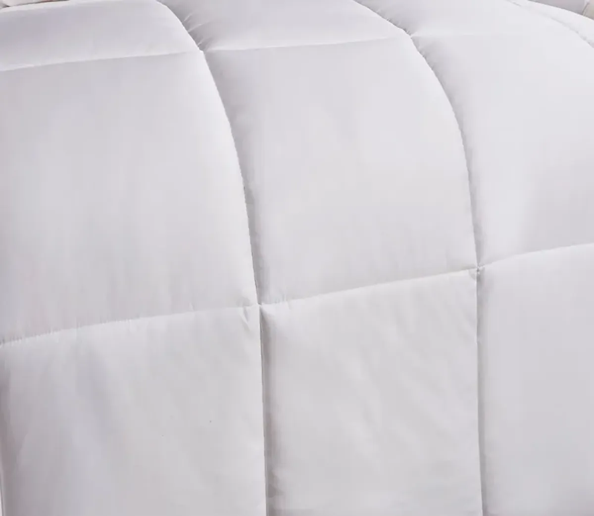 Blue Ridge Home Fashions Blue Ridge Naples Cotton Sateen Down Alternative Comforter - Full/Queen