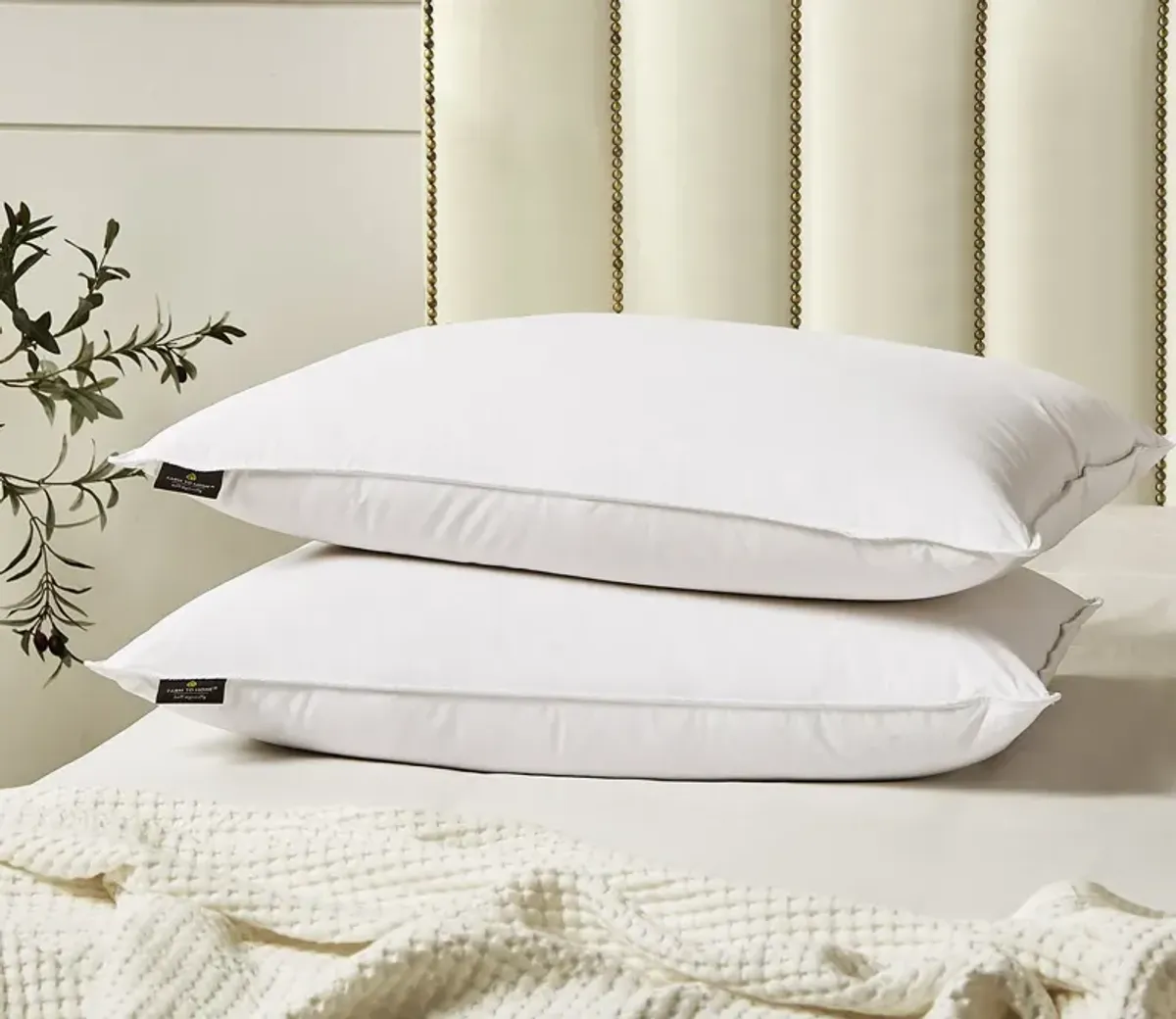 Farm To Home Organic Cotton Softy-Around White Feather and Down Pillow 2-Pack - Jumbo