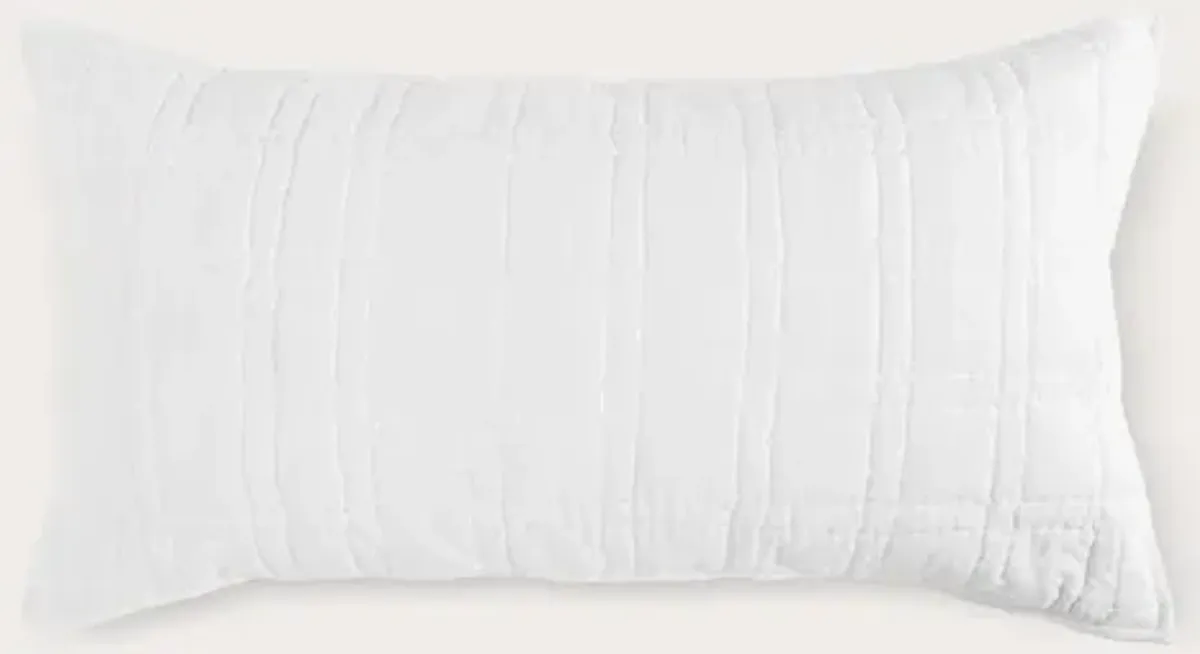 Villa by Classic Home Carly White Cotton Quilted Pillow Sham with SILVADUR Tech - Standard