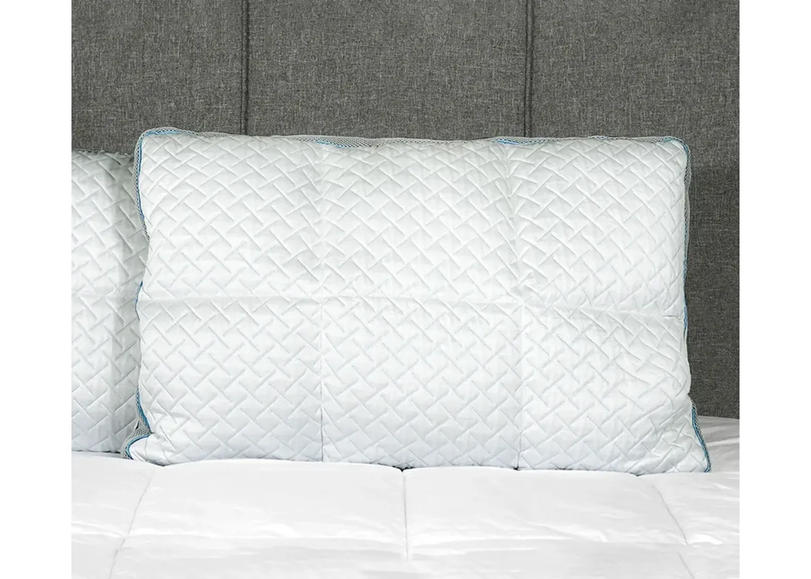 Primo International Polar Nova Deluxe Memory Foam Pillow - Memory Foam - Queen