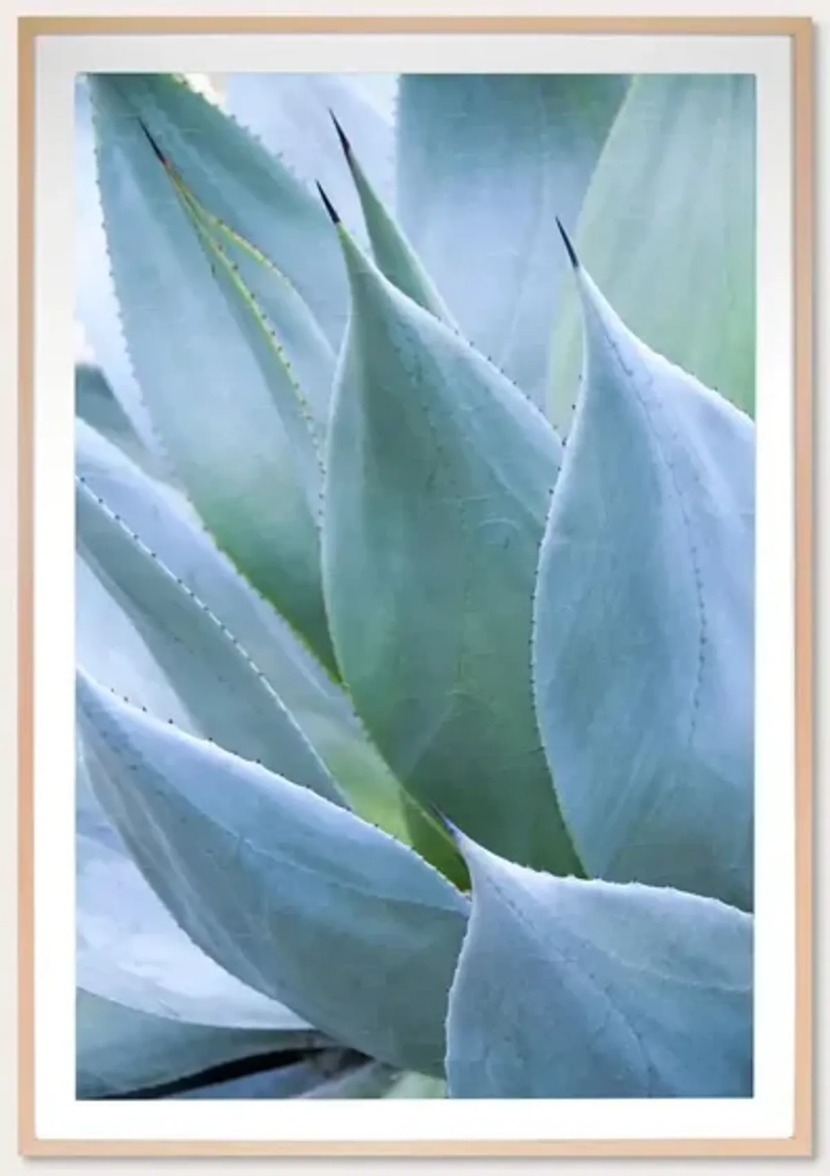 Grand Image Agave 1 Digital Print