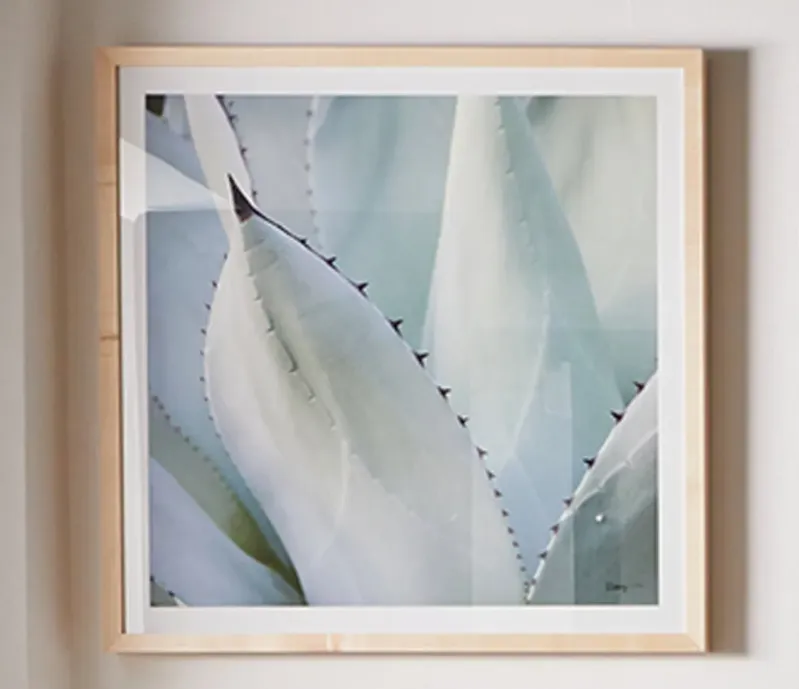 Grand Image Black Tip Succulent Digital Print