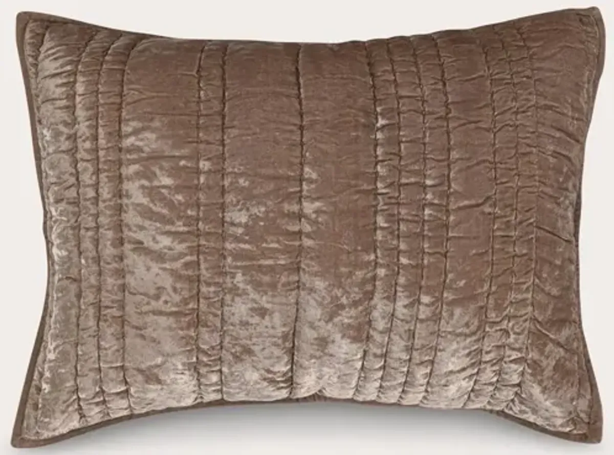 Villa by Classic Home Seville Velvet Pillow Sham - Taupe - Standard