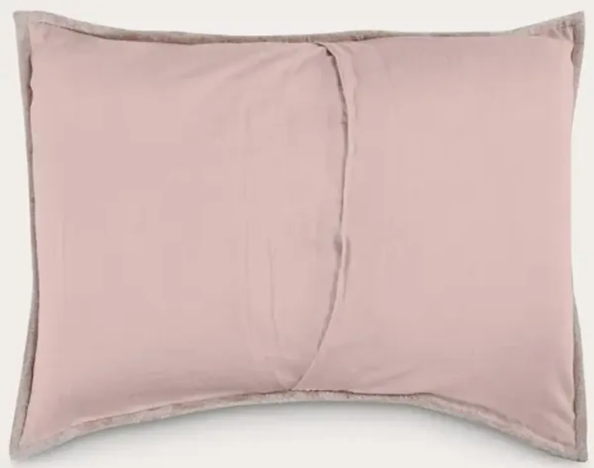 Villa by Classic Home Bari Velvet Pillow Sham - Pink - Standard