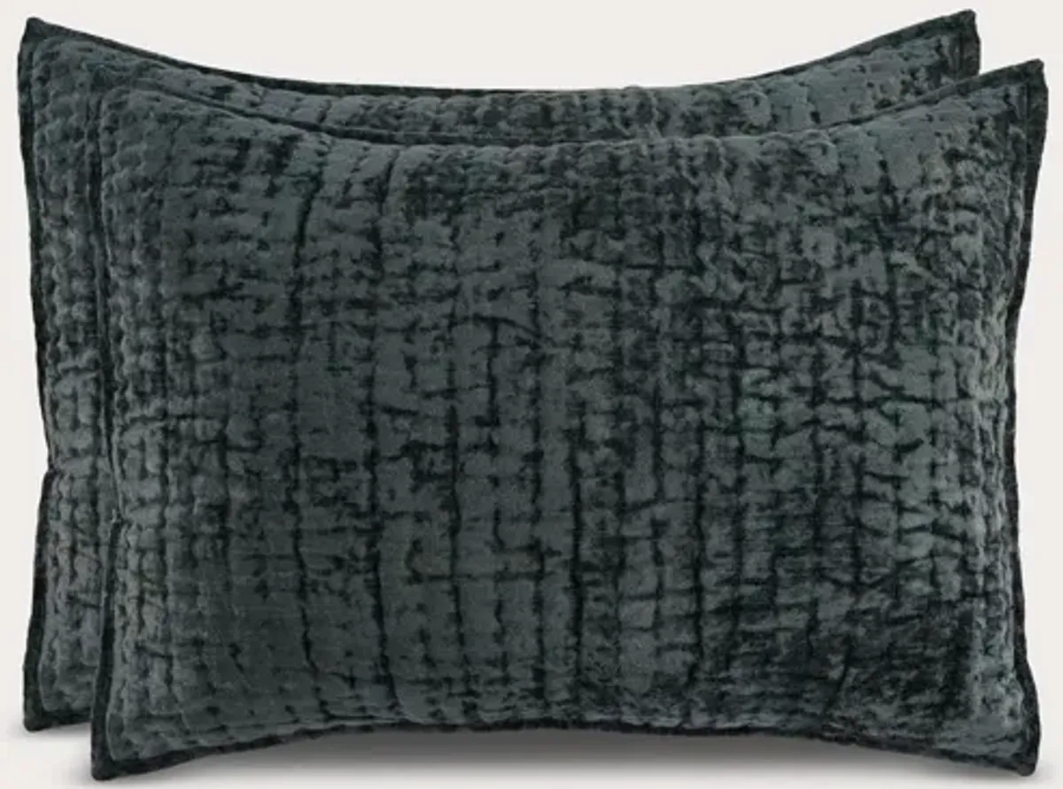 Villa by Classic Home Bari Velvet Pillow Sham - Bay Green - King