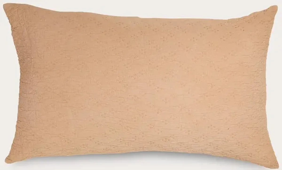 Dr. Weil by PureCare Dr. Weil Wave Pillow Sham - Sandstone - Queen