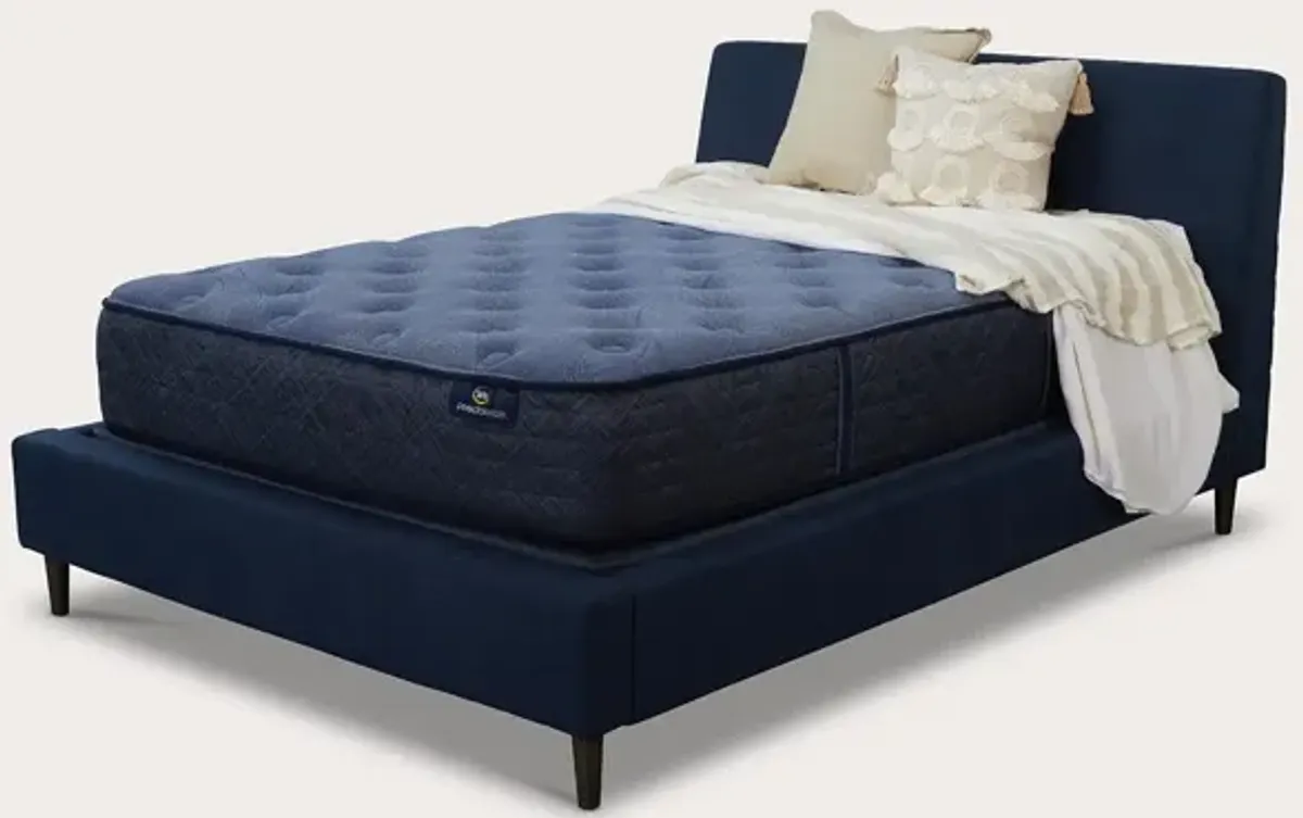 Serta Perfect Sleeper Delray Plush Innerspring Mattress - Memory Foam - Full