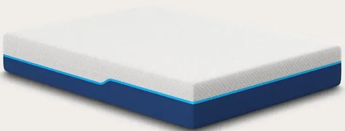 Bed in a Box Nautica Energize 12'' Medium Firm Hybrid Mattress - Twin XL