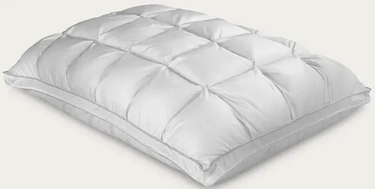 PureCare Classic Bedding Bundle - Ivory - Twin