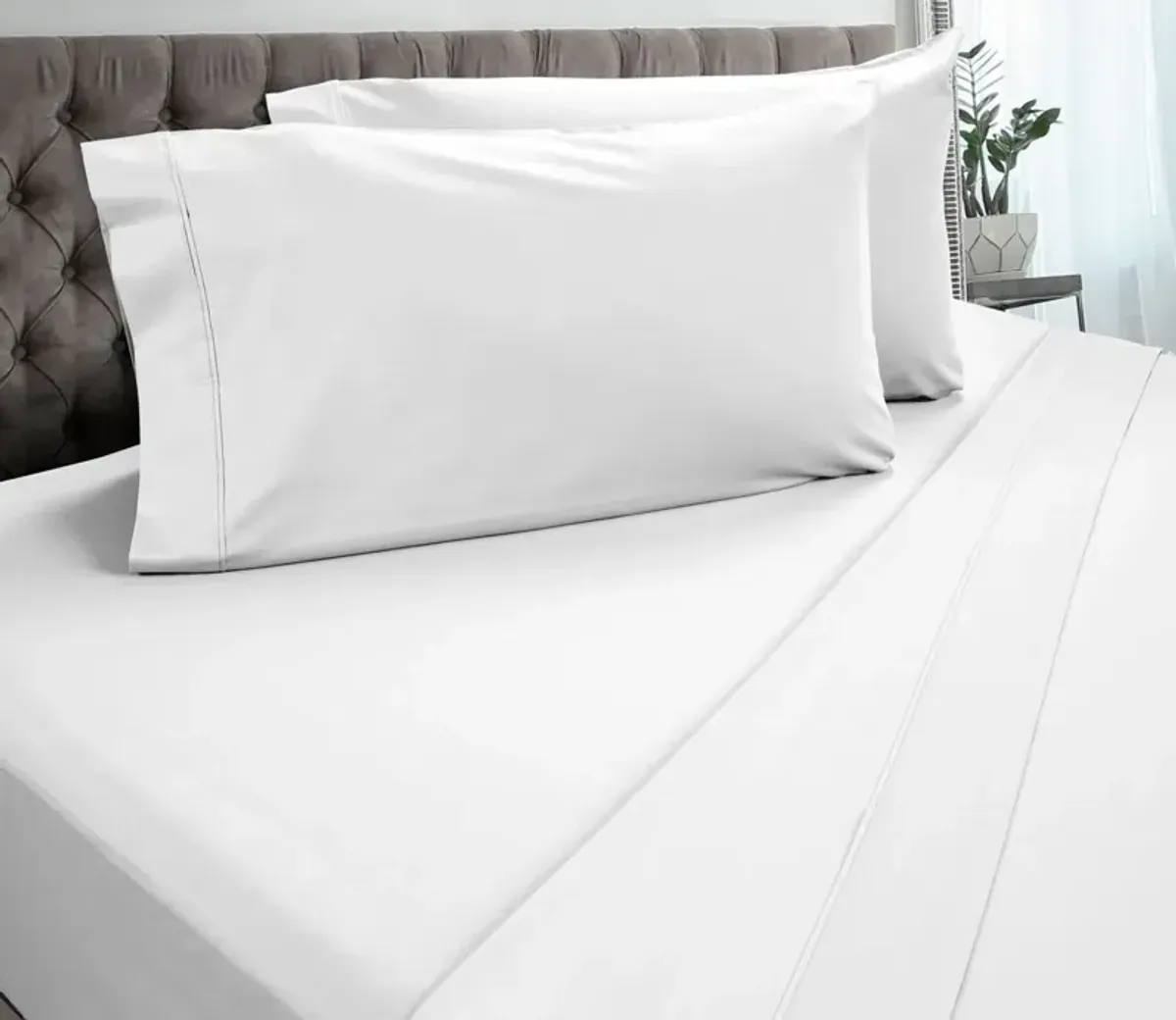 DreamFit Degree 3 Cotton Sheet Set - Ivory - Twin