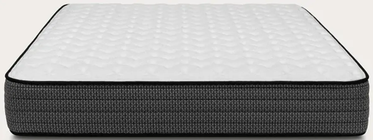 Brooklyn Bedding Studio Firm Mattress - Twin