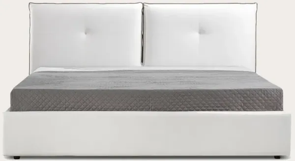 Casa Bianca Aria Leather Upholstered Storage Bed - Queen