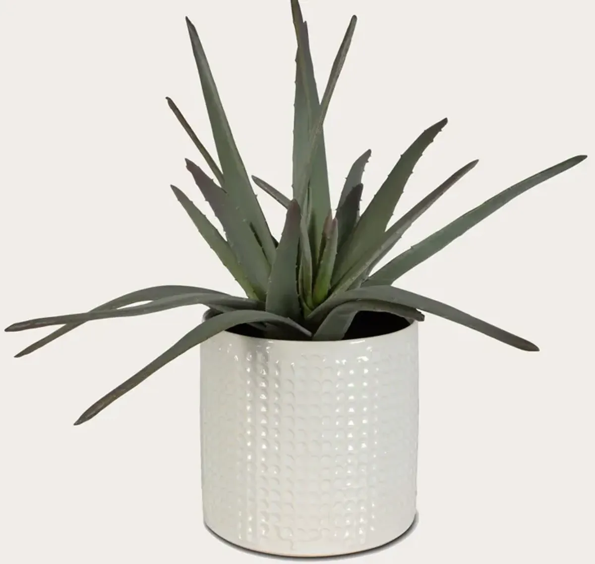 Uttermost Taos Faux Aloe Plant Centerpiece