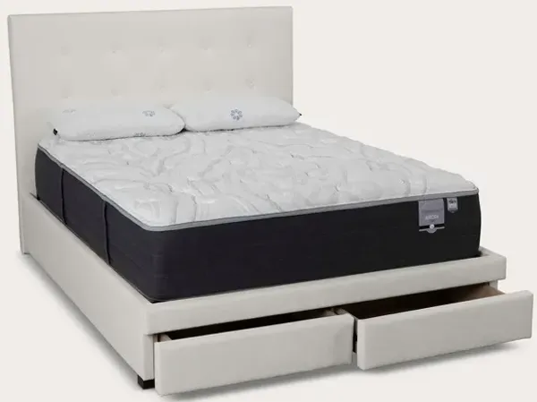 City Mattress CM Home Kemper Button Tufted Bed - Bone - Queen