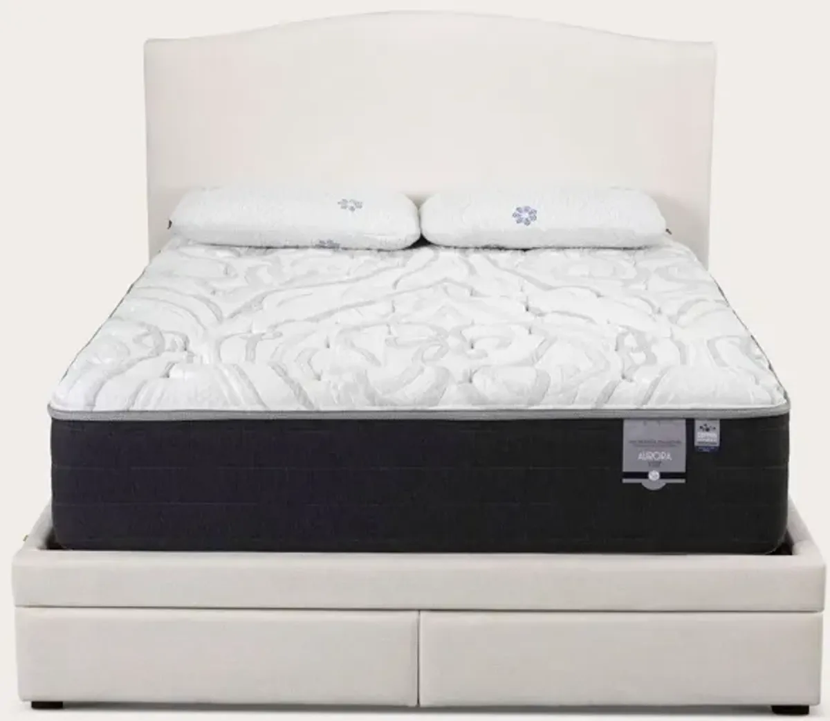 City Mattress Kemper Camel Arch Bed - Bone - Queen