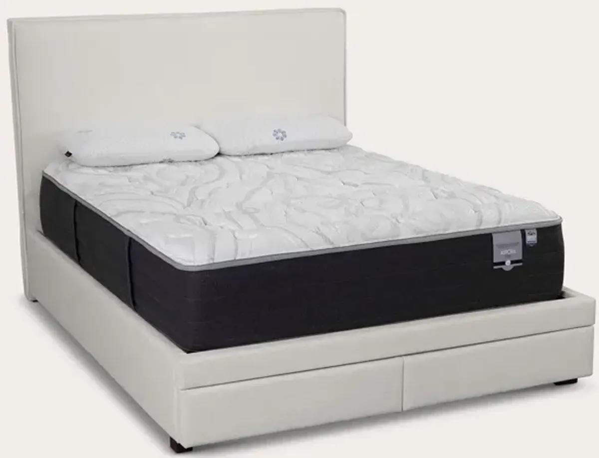 City Mattress Kemper Flange Bed - Bone - Queen