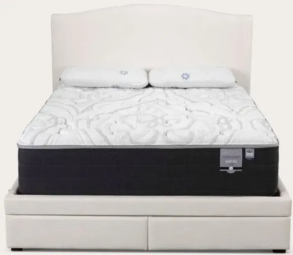 City Mattress Kemper Camel Arch Bed - Storm - Queen