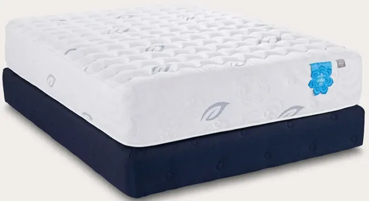 PranaSleep Asha Luxe 3.0 Medium Mattress - California King