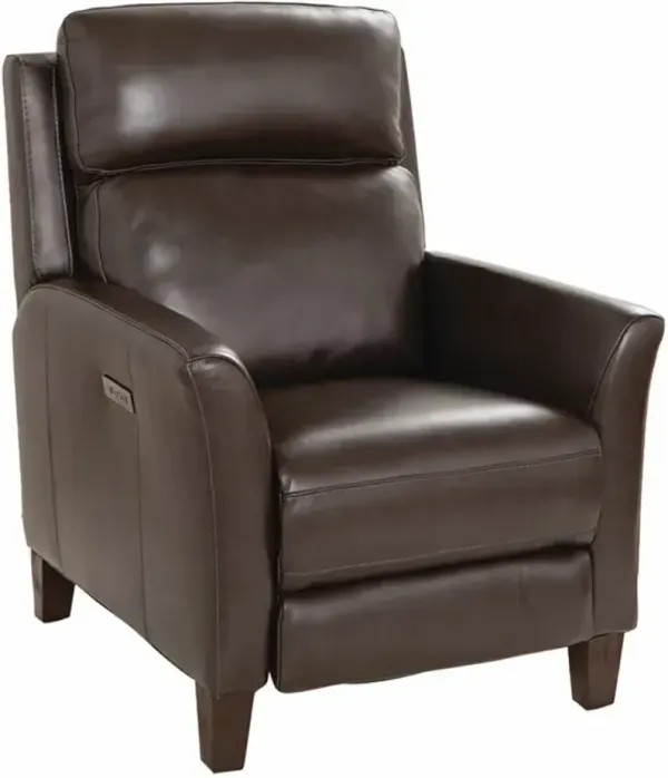 Southern Motion Gibson Chocolate Power Recliner with Power Headrest and High Leg