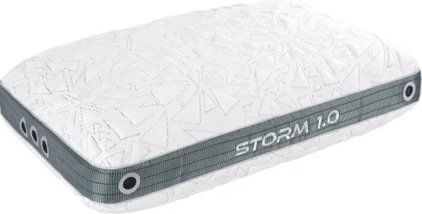 BEDGEAR® Storm 1.0 Performance Medium Standard Pillow