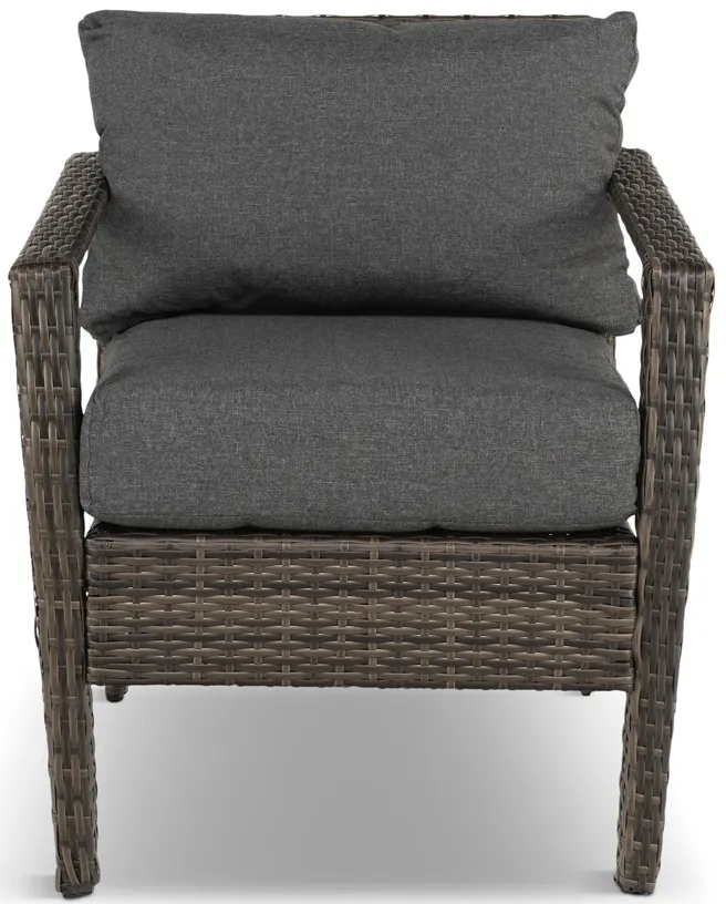 Vista Woven Lounge Chair