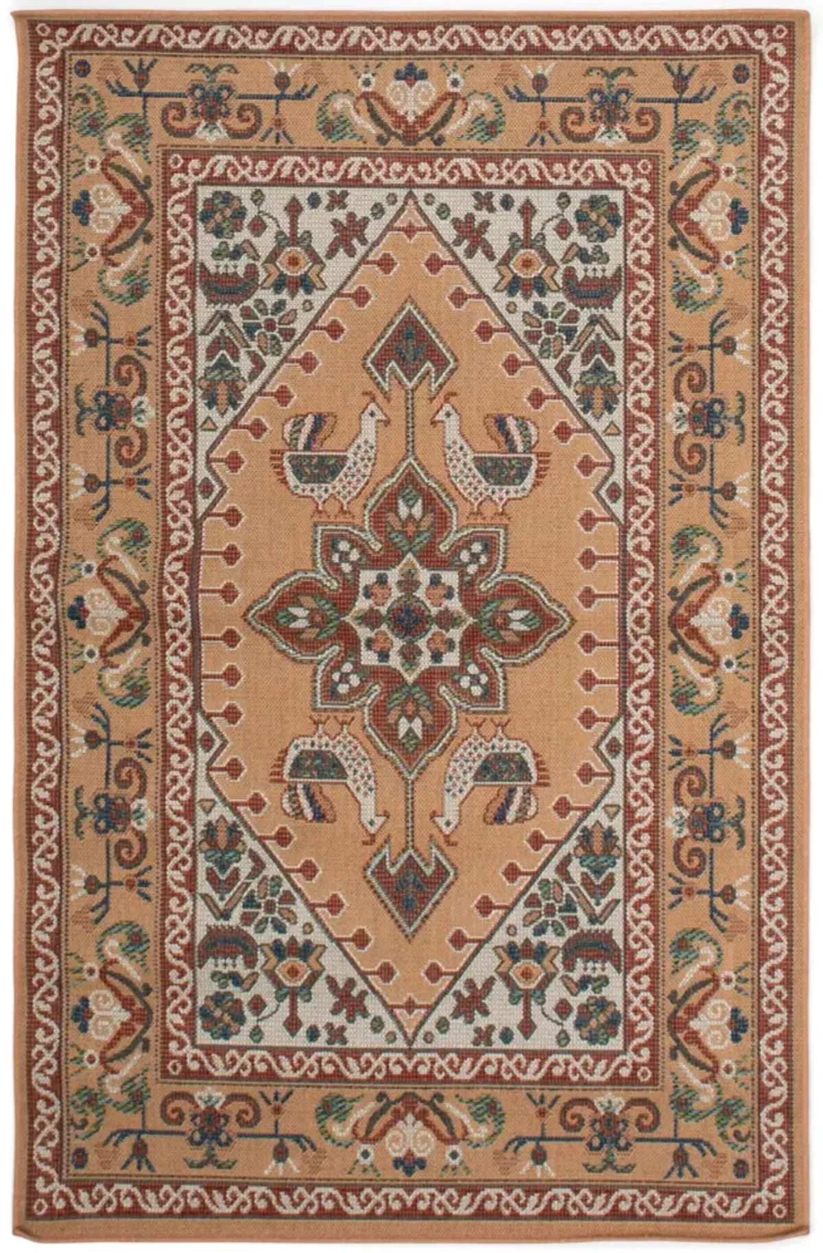 Assorted Patio Rug 