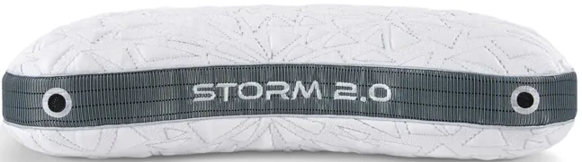 Storm Cuddle 2.0 Pillow