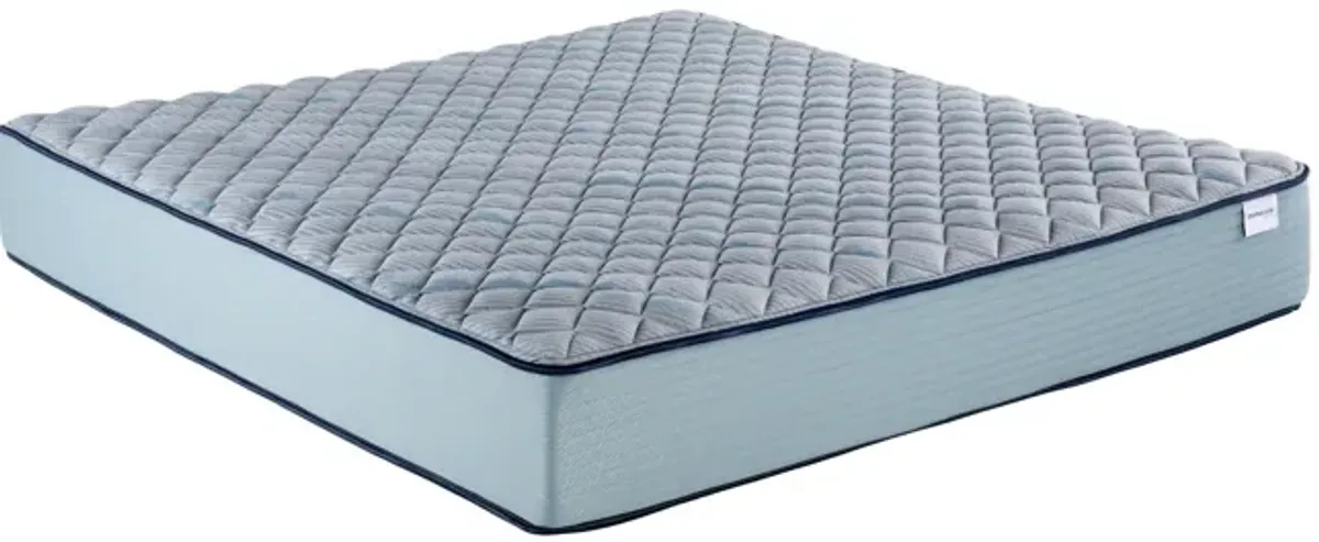 Invigorate Firm Queen Mattress