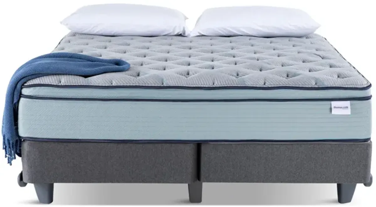 Invigorate Pillow Top Twin Mattress