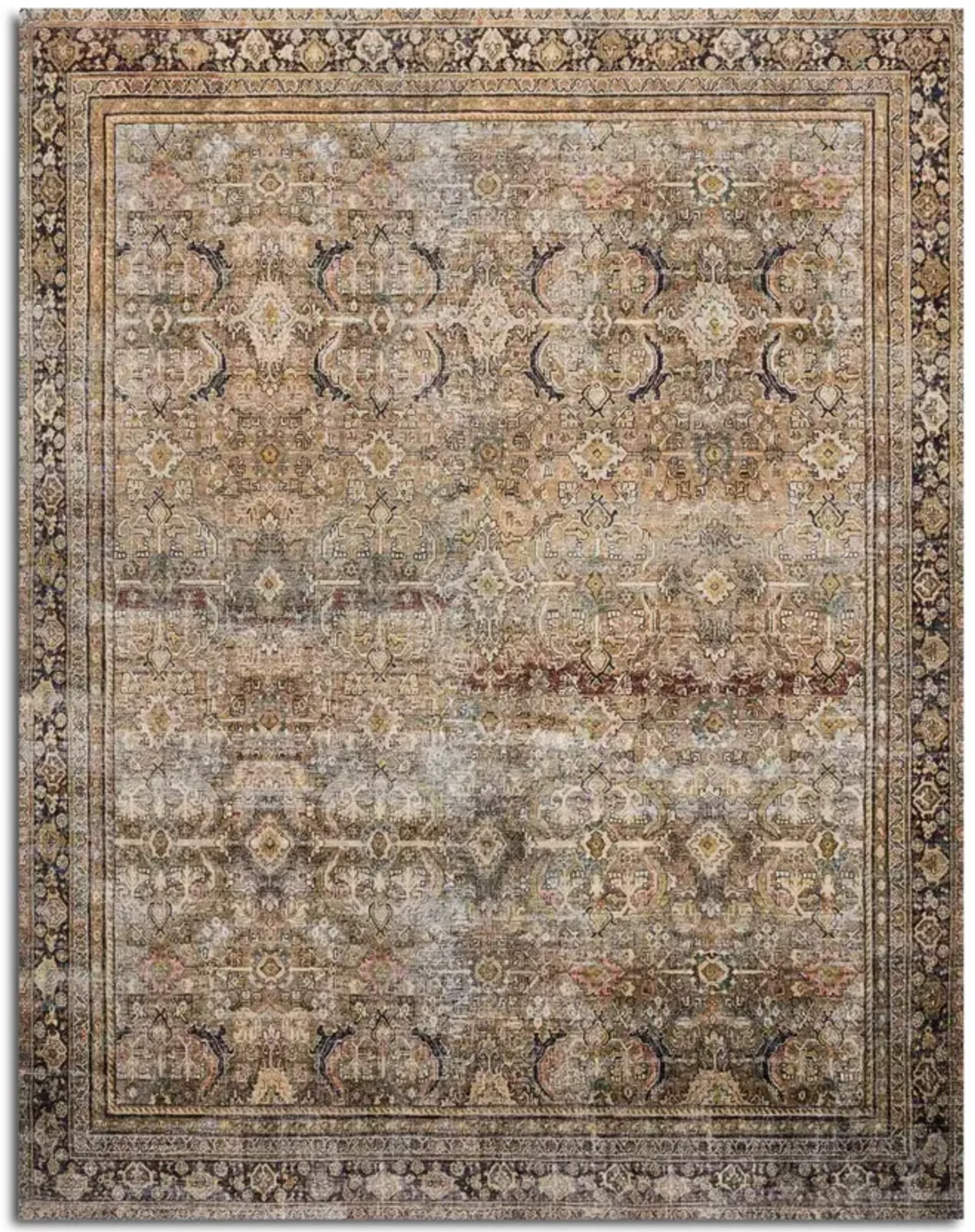 Layla Olive Charcoal Area Rug