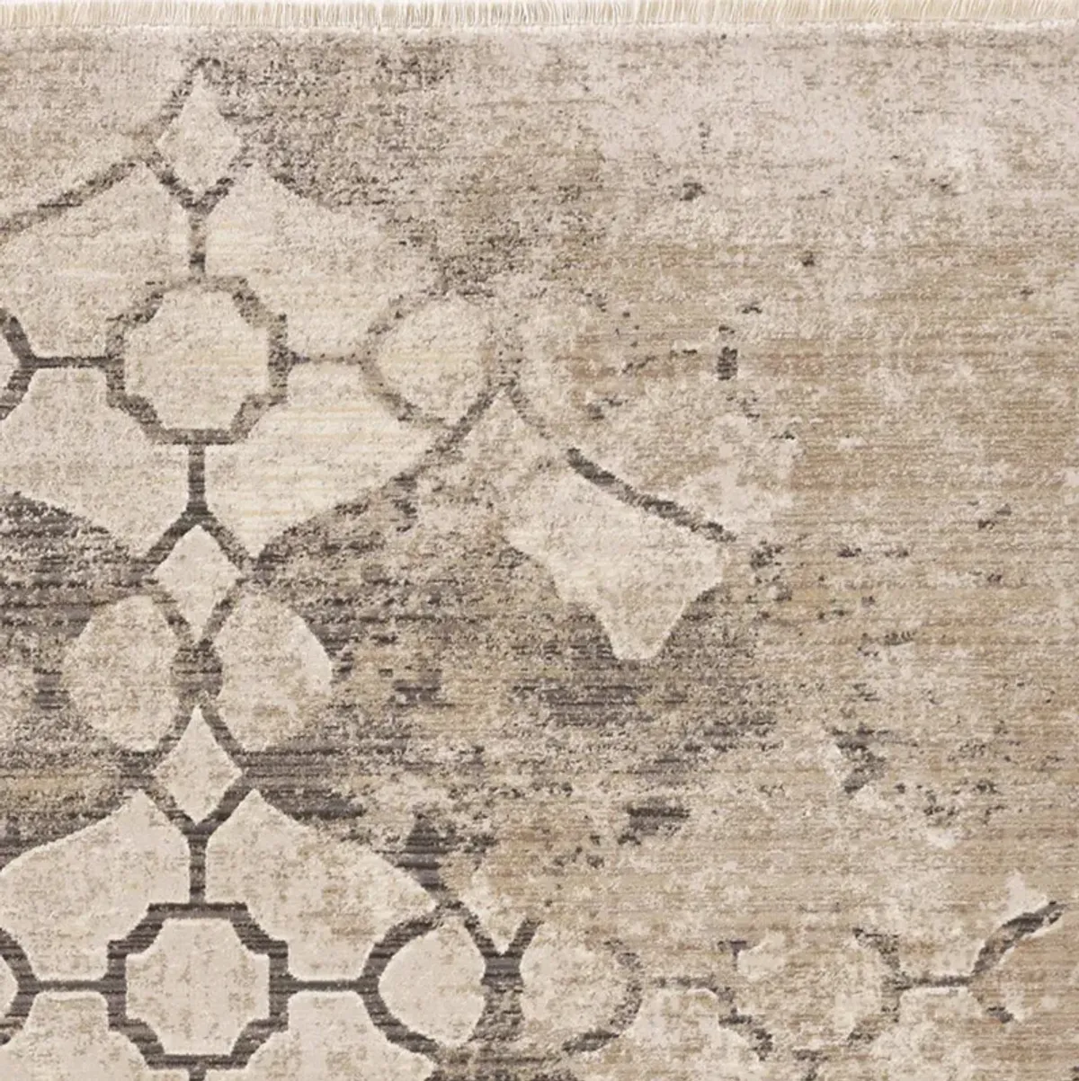 Westerly 5 3  x 7 7  Area Rug