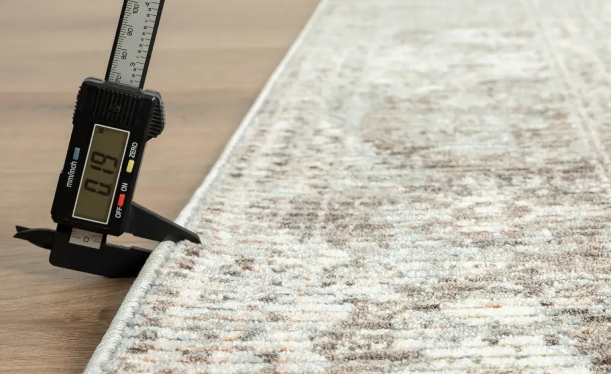 Riviera 3 0  x 4 0  Area Rug