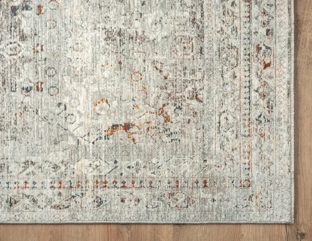 Riviera 3 0  x 4 0  Area Rug