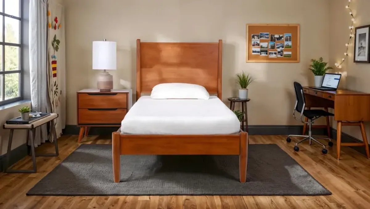 6  Memory Foam Twin Mattress