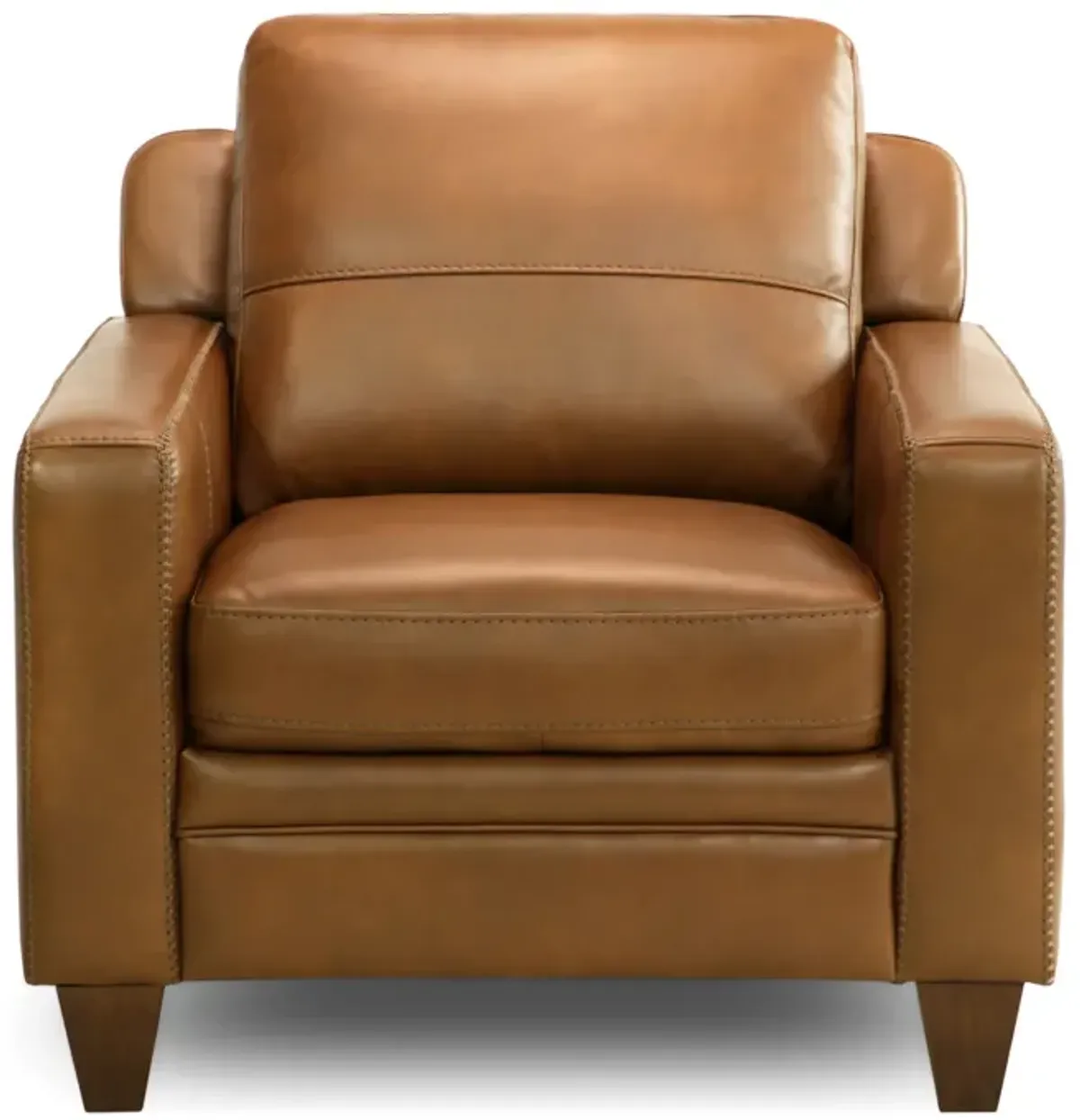 Kenai Leather Chair