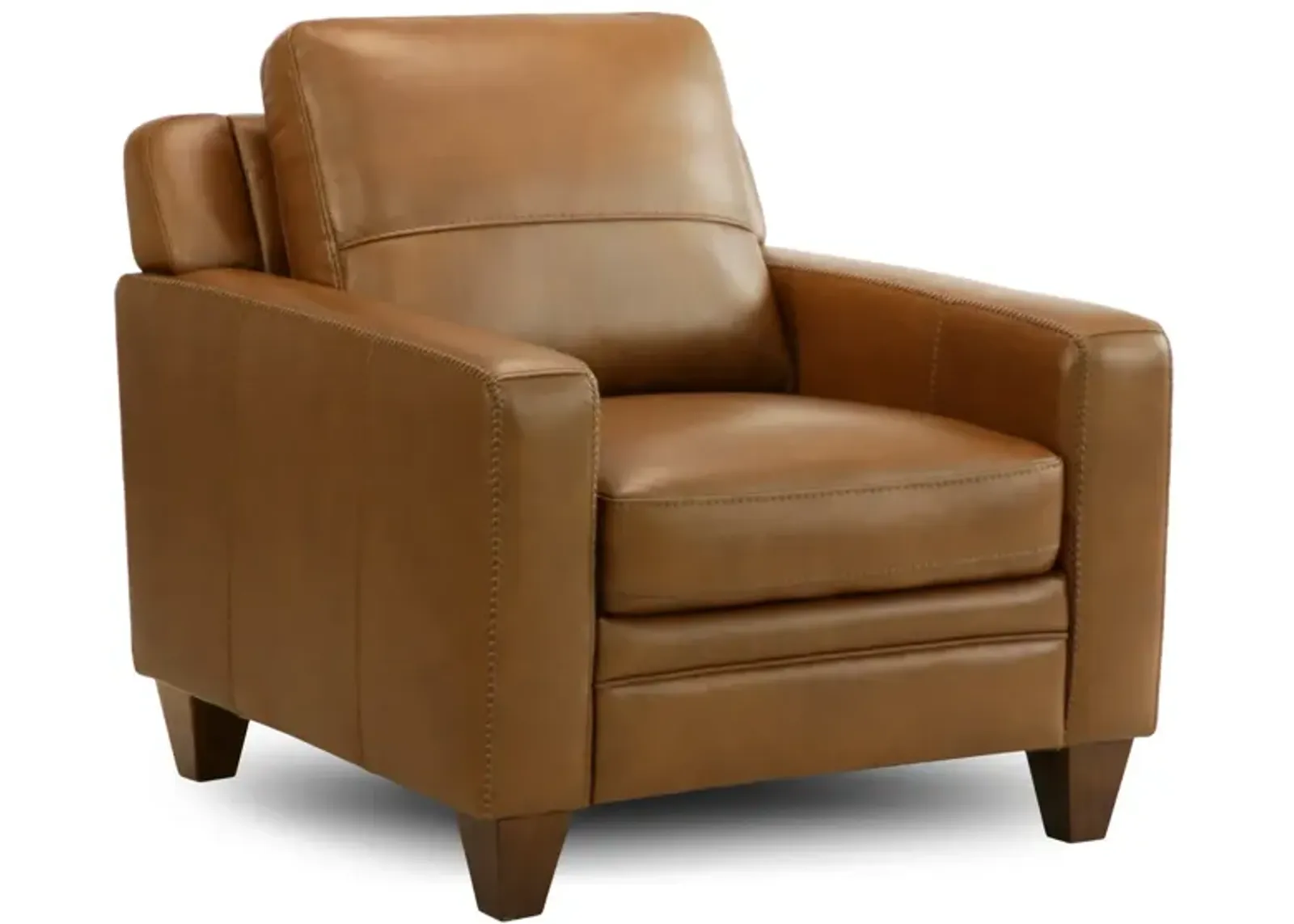 Kenai Leather Chair