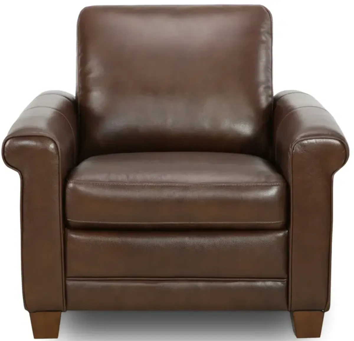 Denali Leather Chair