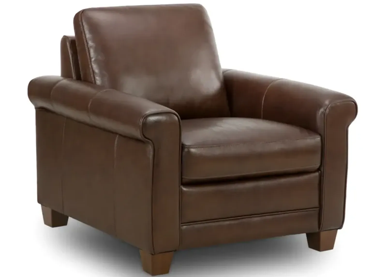 Denali Leather Chair