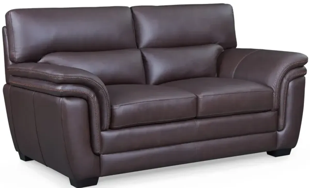 Arizona Leather Loveseat