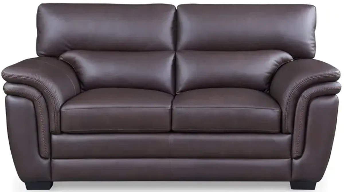 Arizona Leather Loveseat