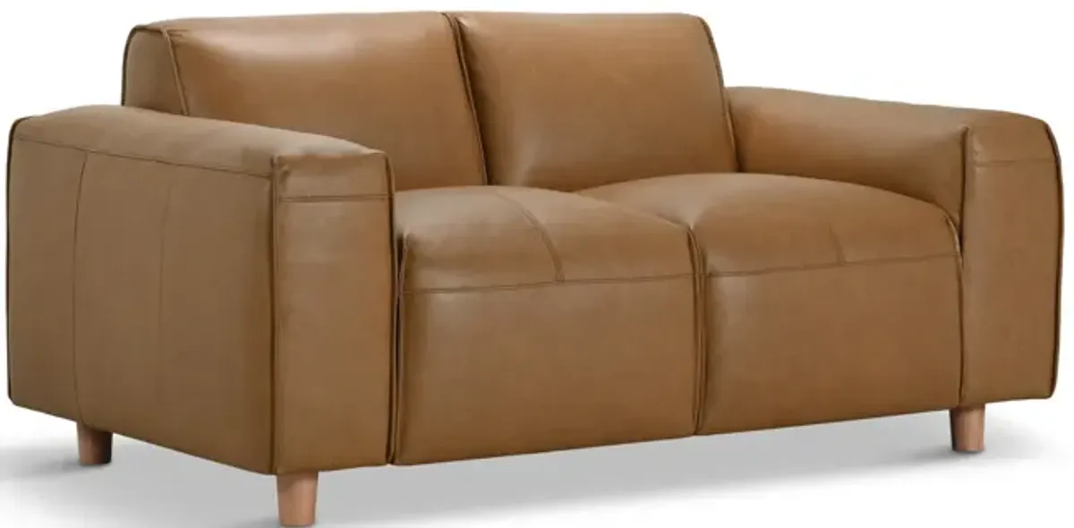 Robbins Leather Loveseat