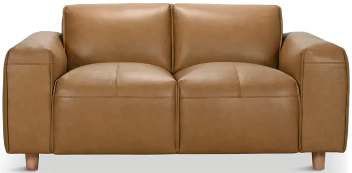 Robbins Leather Loveseat