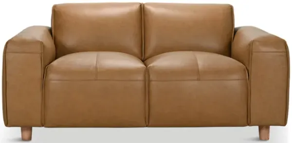 Robbins Leather Loveseat