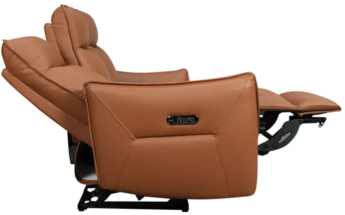 Vanessa Leather Power Reclining Sofa