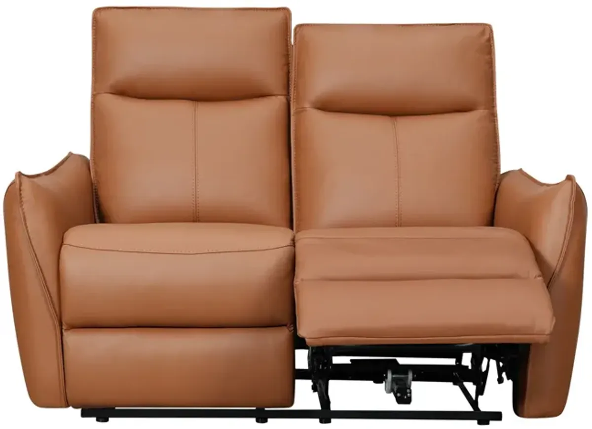 Vanessa Leather Power Reclining Loveseat