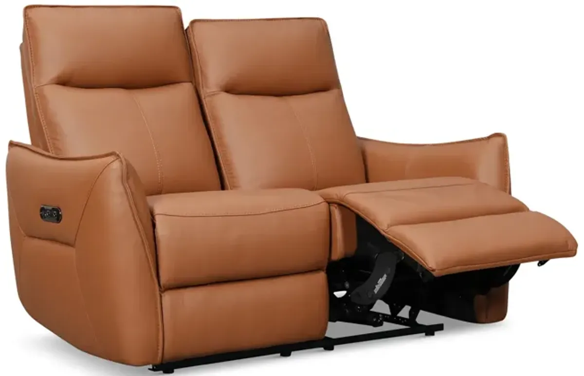 Vanessa Leather Power Reclining Loveseat