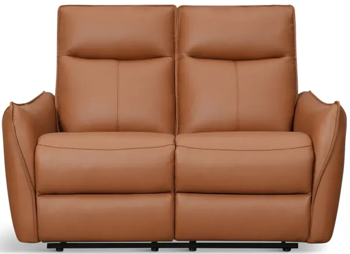 Vanessa Leather Power Reclining Loveseat