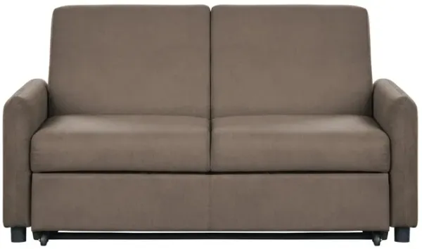 Priscilla Convertible Sleeper Sofa - Chocolate